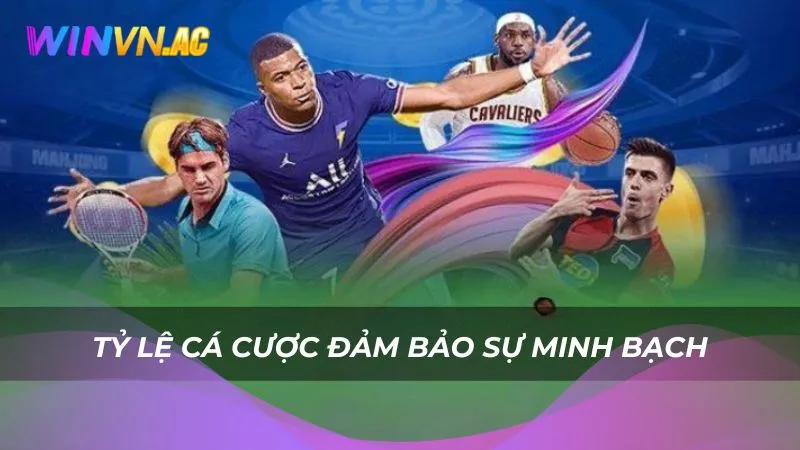 Tỷ lệ cá cược đảm bảo sự minh bạch